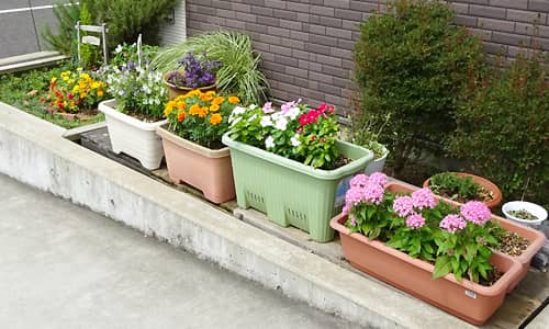 入り口には花壇があり季節を感じることや心の癒しを感じていただける入り口となっております。