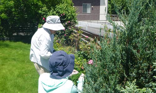 ナーシングホーム とうはらには庭が併設されており、緑が溢れております。遠くに行かなくても気分転換が気軽にできる場所となっております。